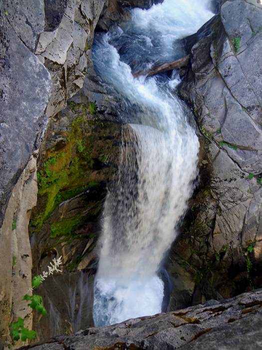 Christine Falls