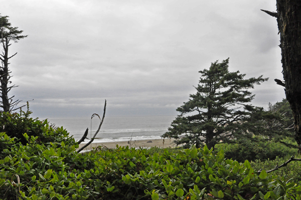 View of the beach from the top of the trail 