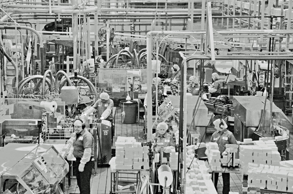 watching the workers at Tillamont Cheese Factory