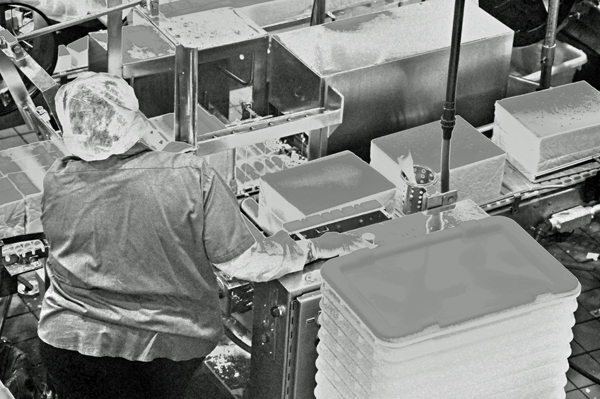 watching the workers at Tillamont Cheese Factory