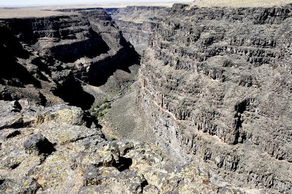Bruneau Canyon