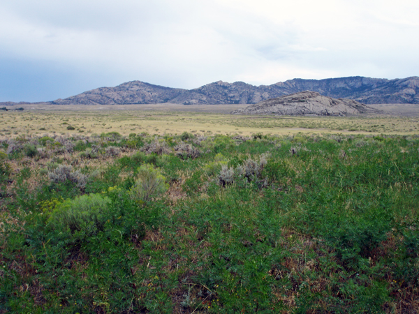 Looking away from Independence Rock