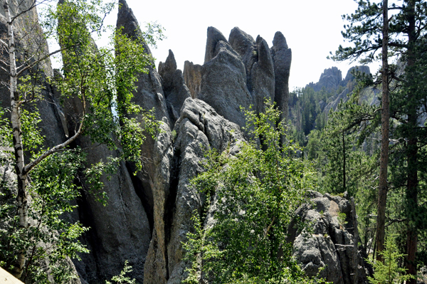 Slender granite formations called Needles dominate the skyline.