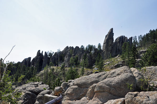 the beauty of Custer State Park
