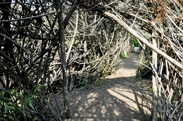 the twig maze