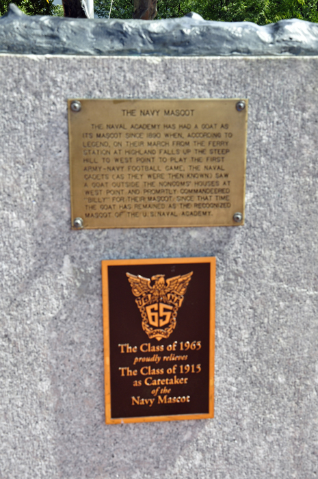The Navey Moscot sign