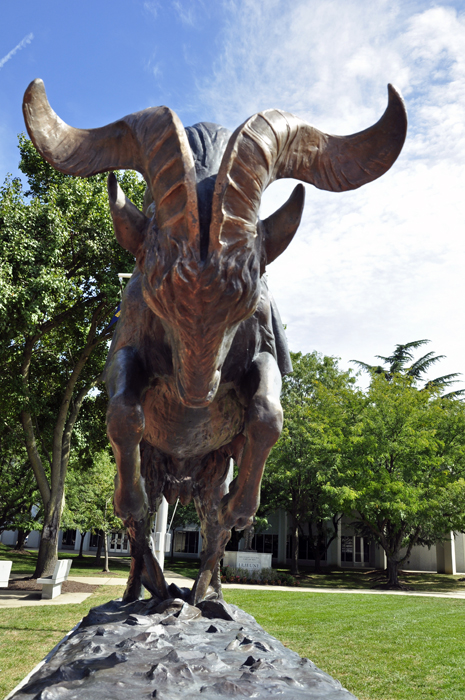 Billy the Goat Mascot