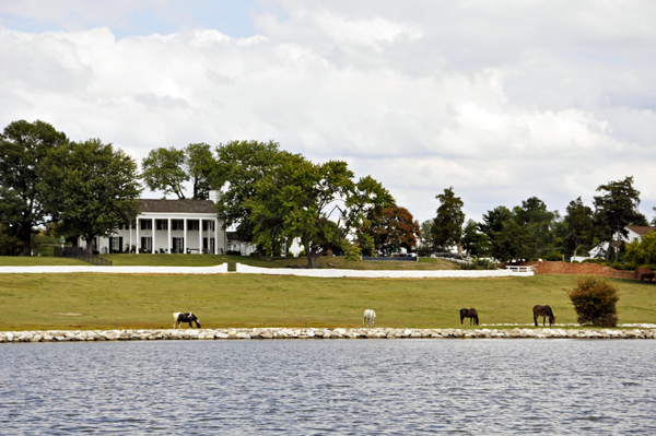 A HORSE FARM ON THE MAGOTHY RIVER