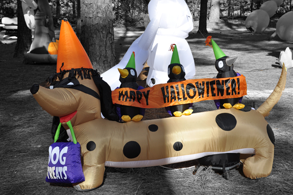 Halloween decorations