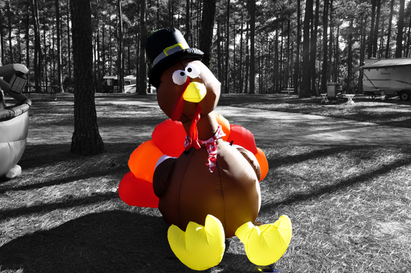 turkey