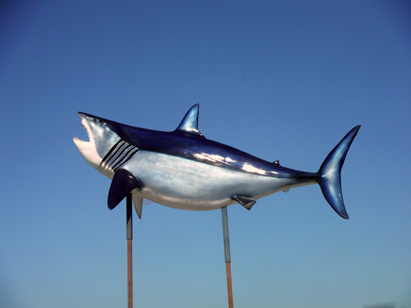 a flying fish got stabbel