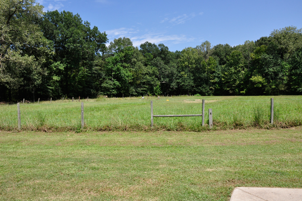 the beehives in the distance
