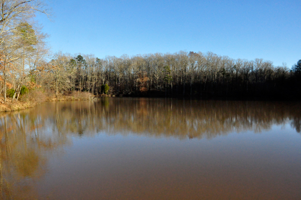 Lake Haigler at Scoville Dock