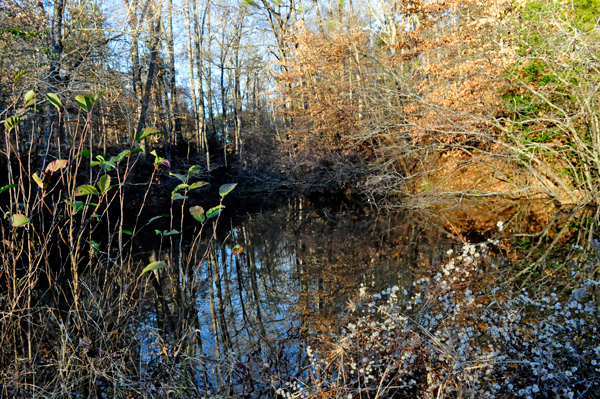 near Scoville Dock