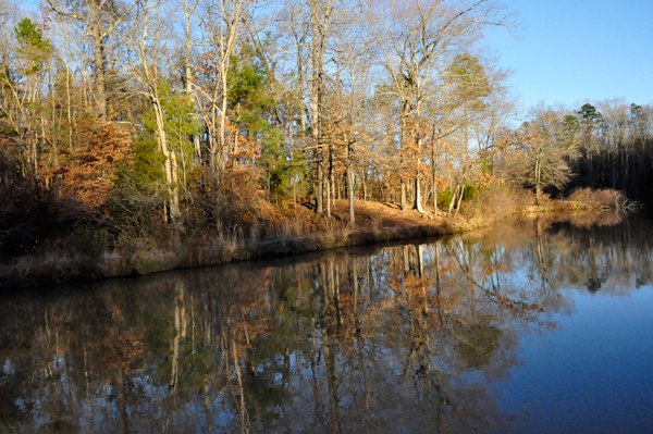 Lake Haigler at Scoville Dock