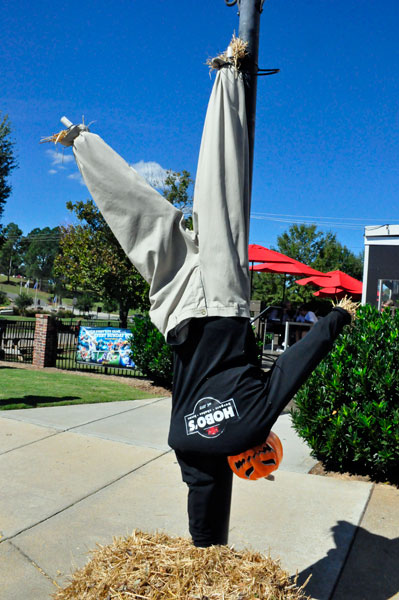 upside down scarecrow