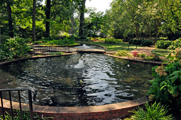 pond