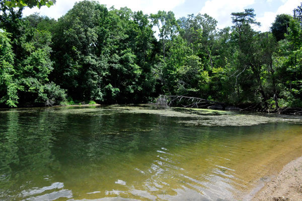 the lake