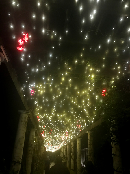 overhead lights