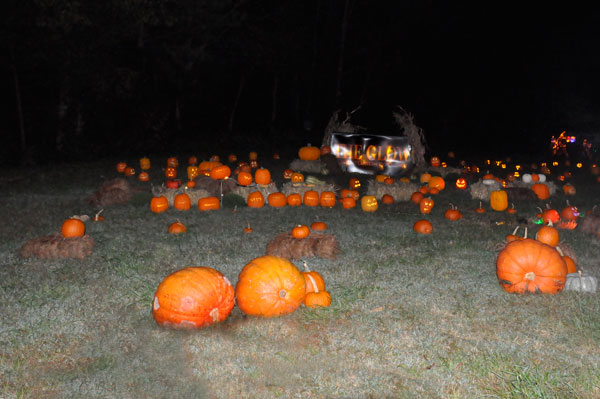 first pumpkin patch
