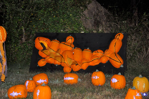 carved pumpkins