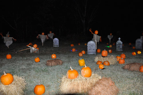 carved pumpkins cemetery