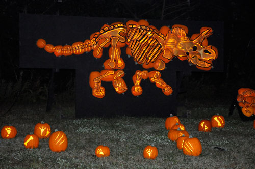 carved pumpkin