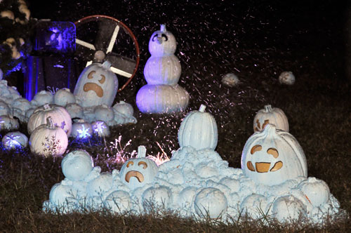 The white pumpkin area