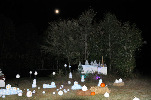 The white pumpkin area