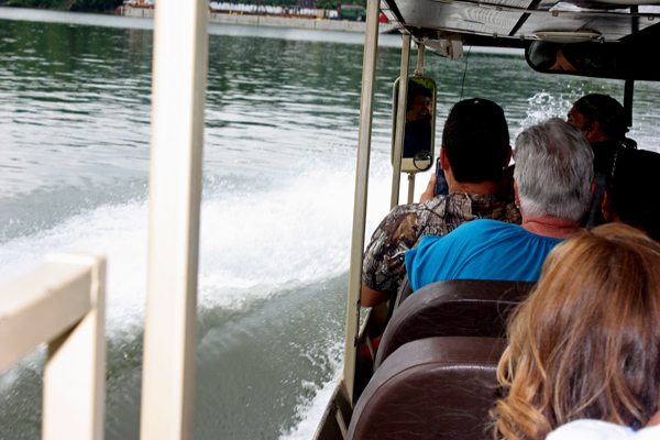 The duck splashes into the Tennessee River