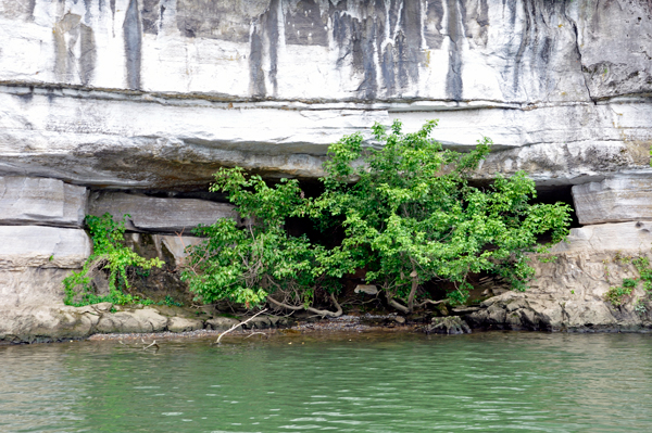 A small cave