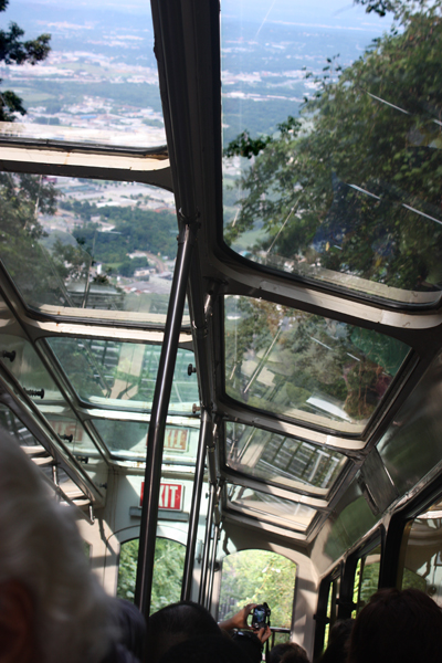 pictures of the windows above the heads of the passengers.