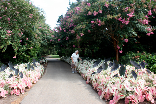 Lee Duquette at Huntsville Botanical Gardens