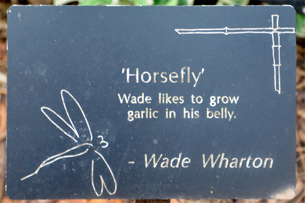label - Horsefly