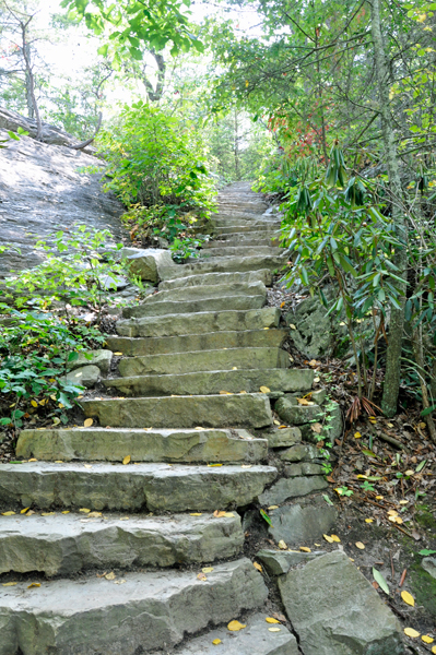 the dreaded stairs