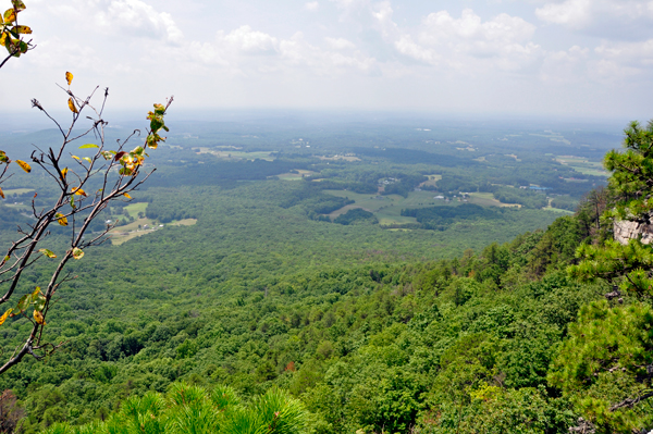 view from Little Pinnacle Overlook 