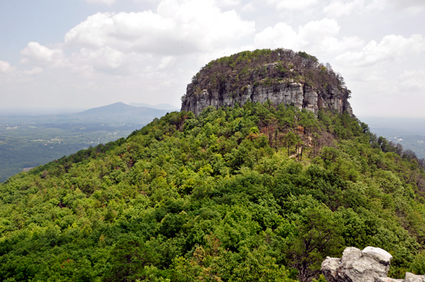 Pilot Mountain as seen from Little Pinnacle Overlook 