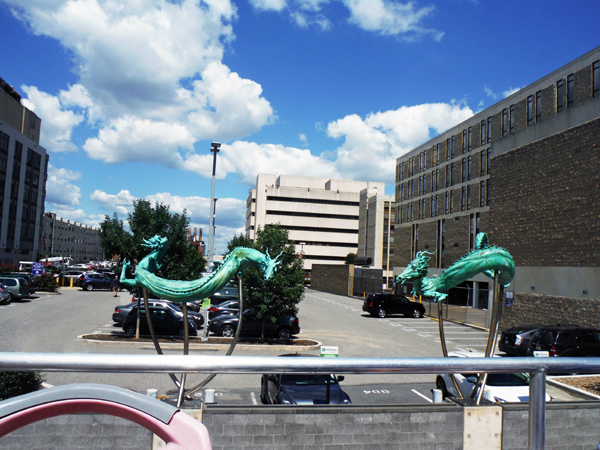 China Town dragons