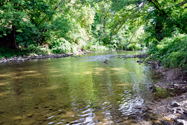 Guth's Covered Bridge