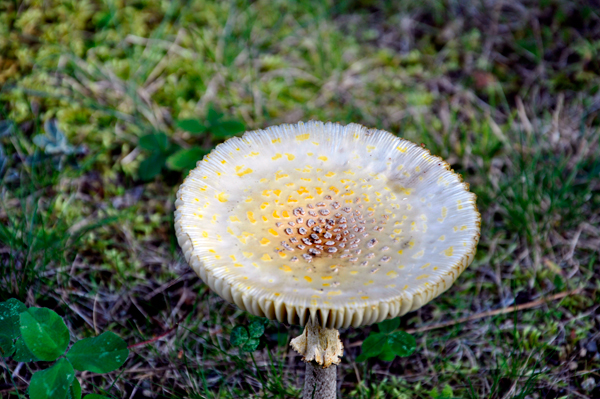 beauty at its best