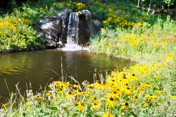 small waterfall
