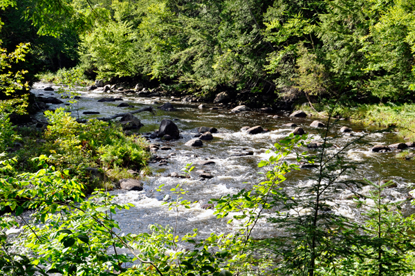 Trout Brook