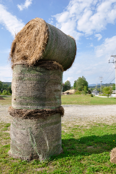 three bundles of hay