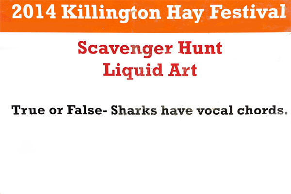 shark trivia sign
