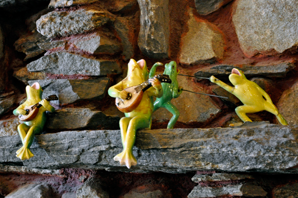 frogs
