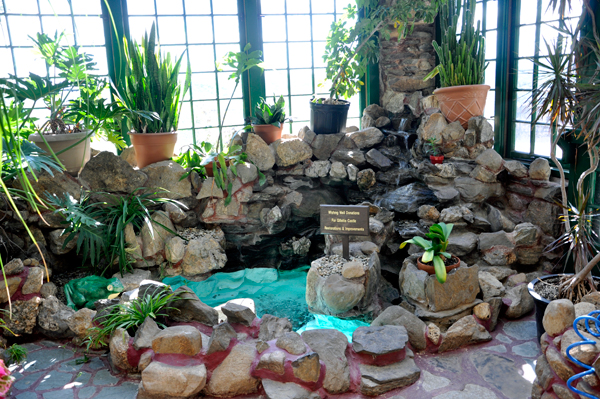 wishing well
