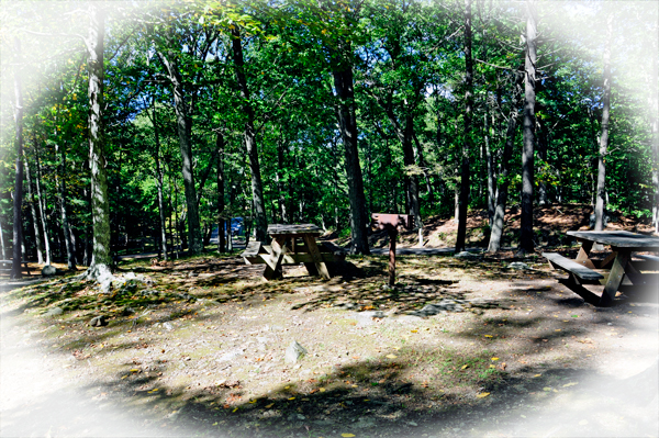 picnic area