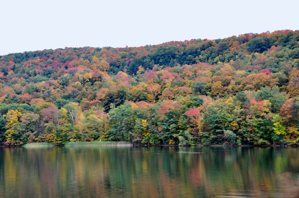 fall foliage on Jacob's Ladder Scenic Byway