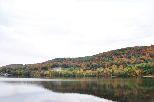 fall foliage on Jacob's Ladder Scenic Byway
