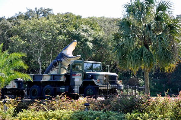 Alligator on a truck